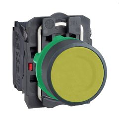 Botao Xb5Aa55 (Am/1Na+1Nf) Schneider